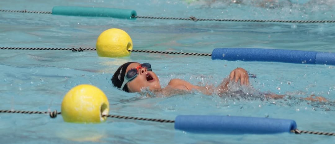 Instalaciones del complejo acuático