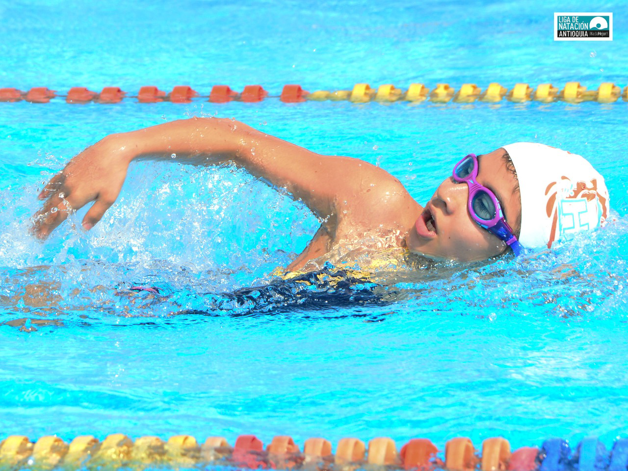 Club Natación Estrellas ya prepara su 5° Festi-Torneo